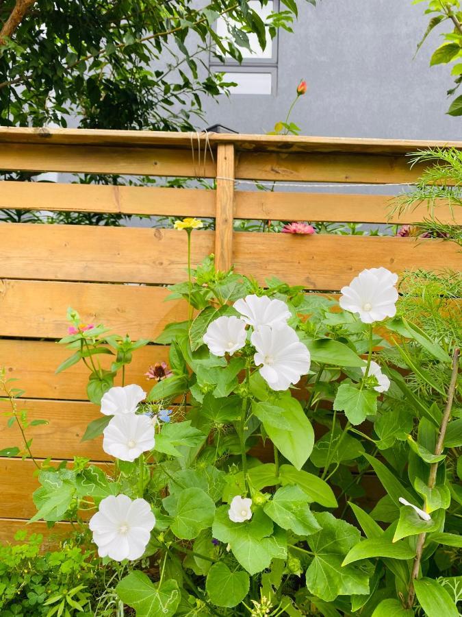 Lovely II Space Share A Room East York Canada Toronto Exterior foto